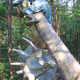 Illustration for article titled The Alternate History Theme Park Where Dinosaurs Fought in the Civil War